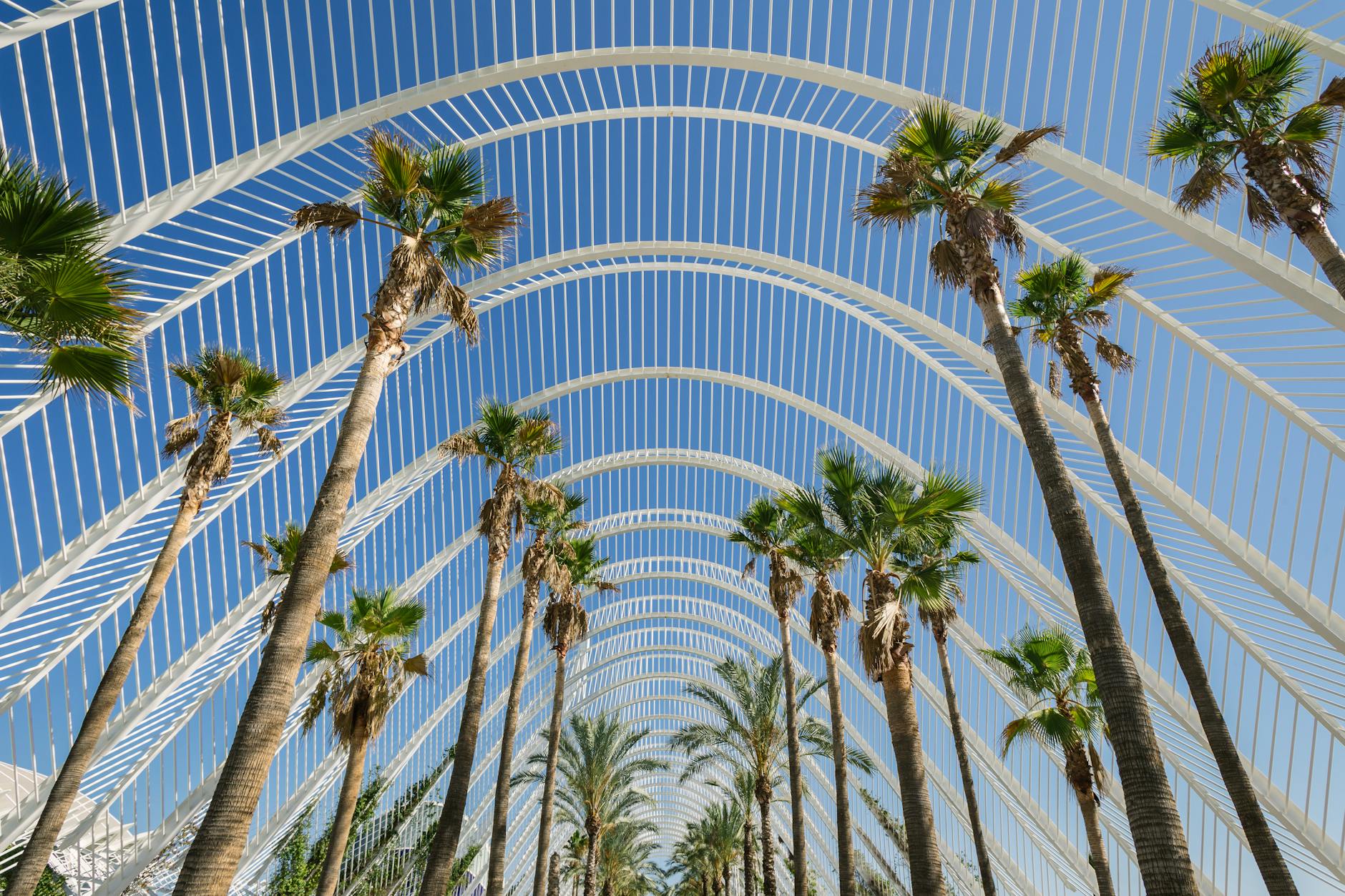 Valencia Weekend: A Solar Eclipse, Open Kitchens, and a Feast of Spring Arts