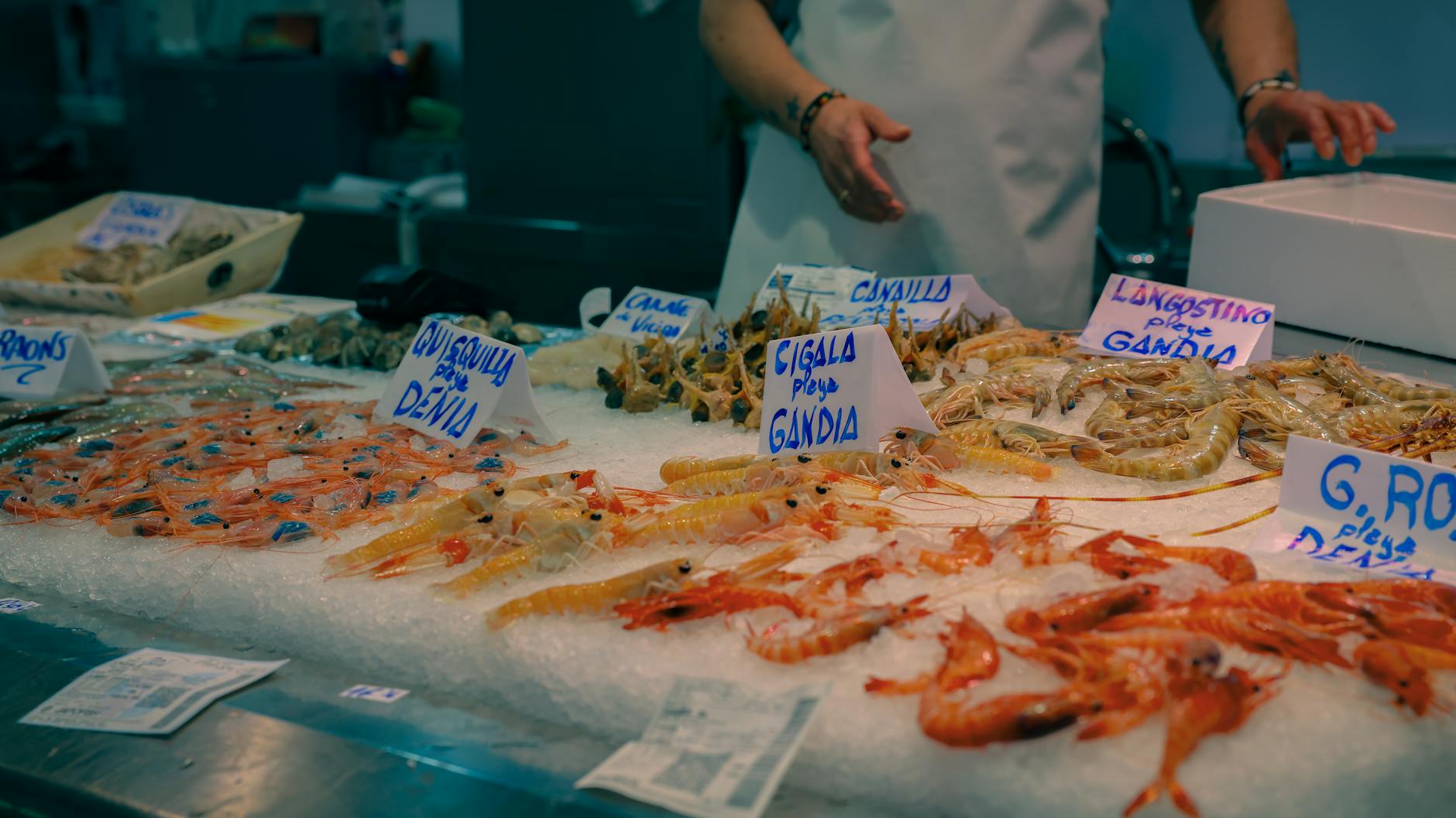 Valencia News: EU Warnings, Abandoned Landmarks, Police Raids, and a Seafood Feast