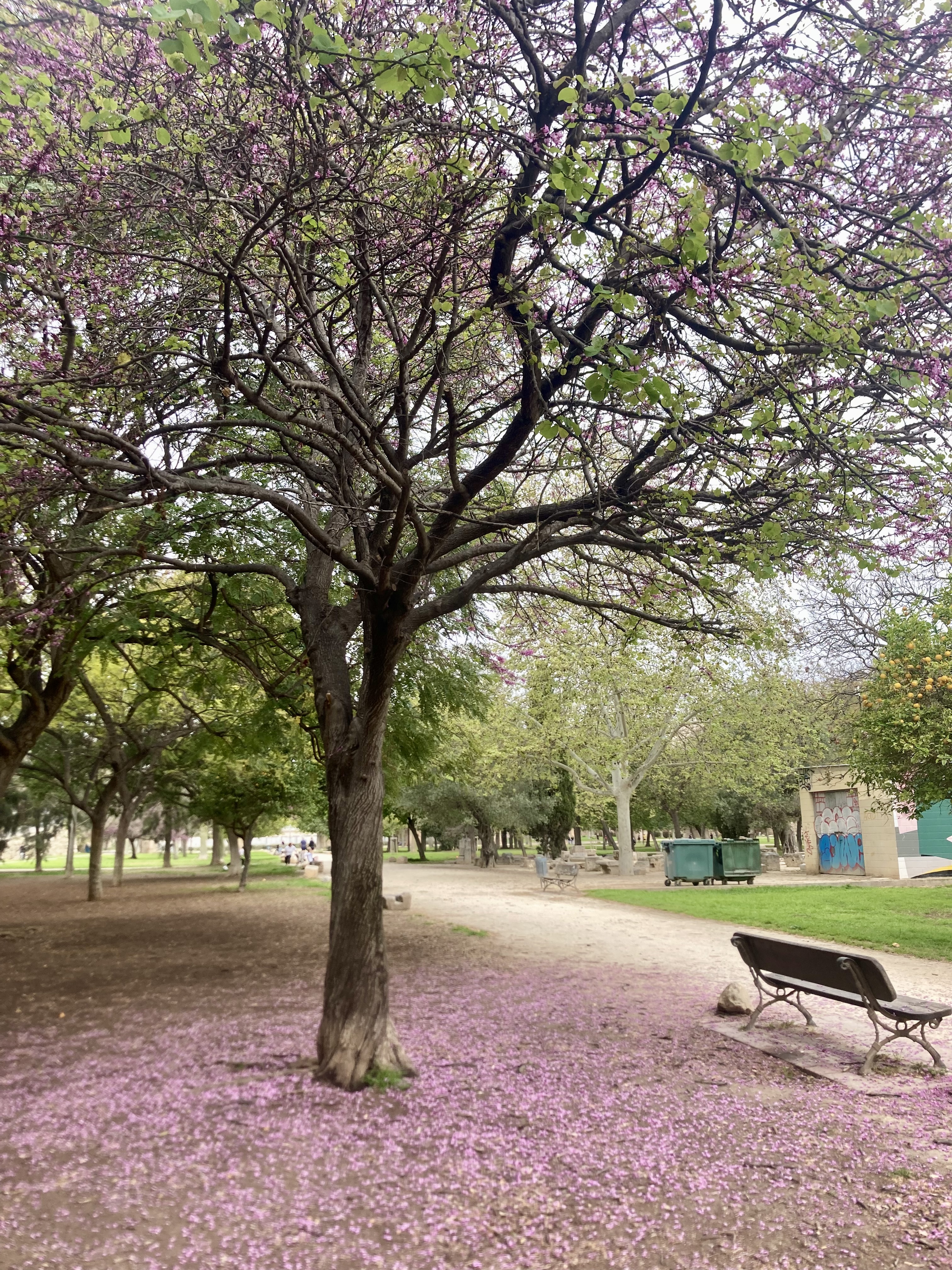 Valencia News: Housing protest, a major drug bust, Semana Santa, and prize-winning burgers