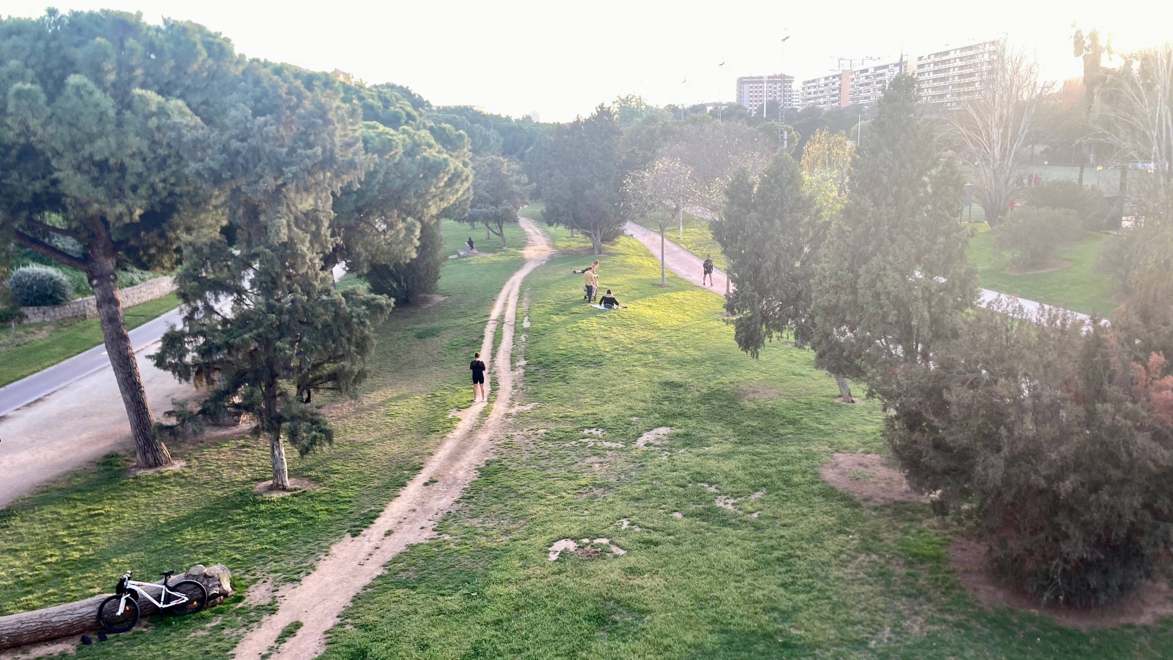 View of trail along the Turia River Park in Valencia