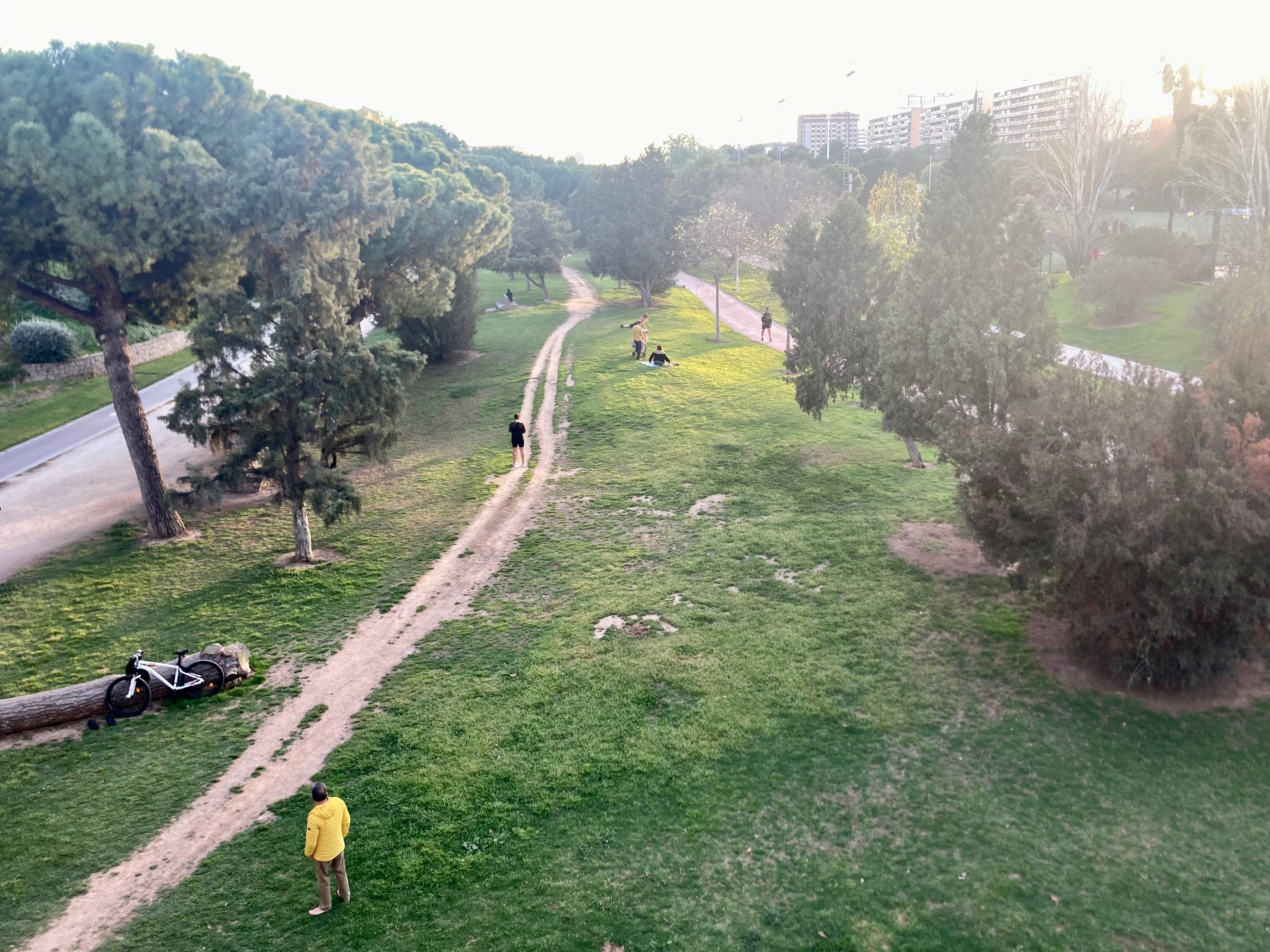 Valencia News: Rain on the way, tax season, new flight connections, and dolphins