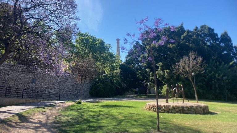Sculpture art and a jacaranda tree with purple flowers in the Turia Park