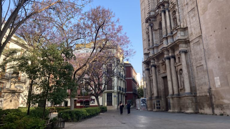 A tree-lined pedestrian street in Valencia with flowers in bloom in front of a church