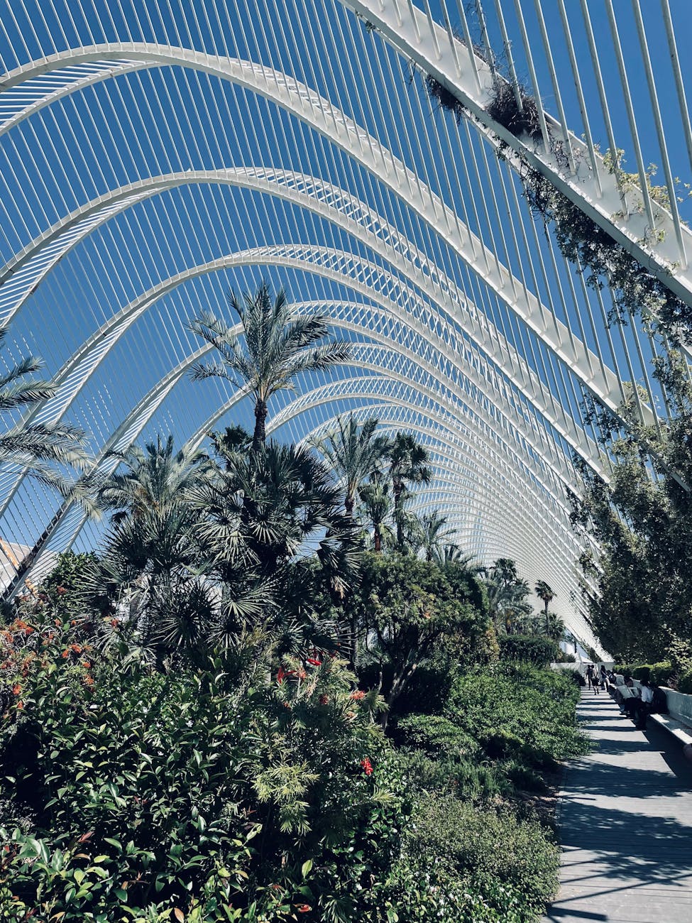 architectural arches in valencia s science park