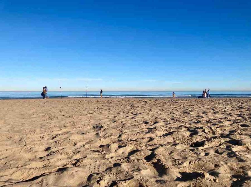 Weekend Highlights: Concerts, Fireworks, and Beach Games!