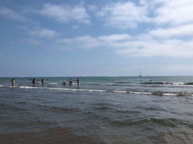 Swimmers in the sea off the coast of Valencia
