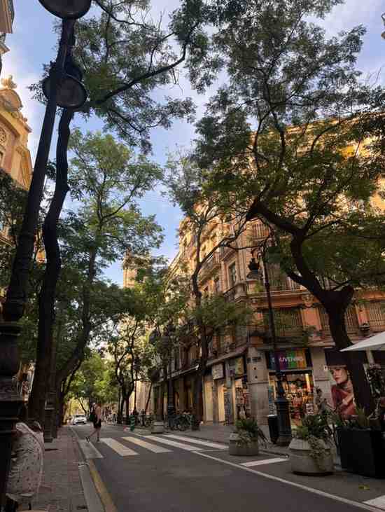 August in Valencia: Highlights and Happenings
