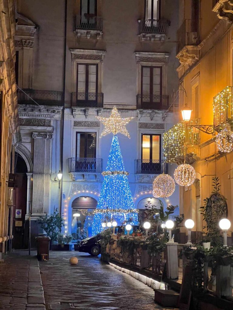 Christmas tree in the street