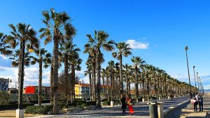 Beach promenade lined with palm trees along Valnecia's Cabanyal neighborhood