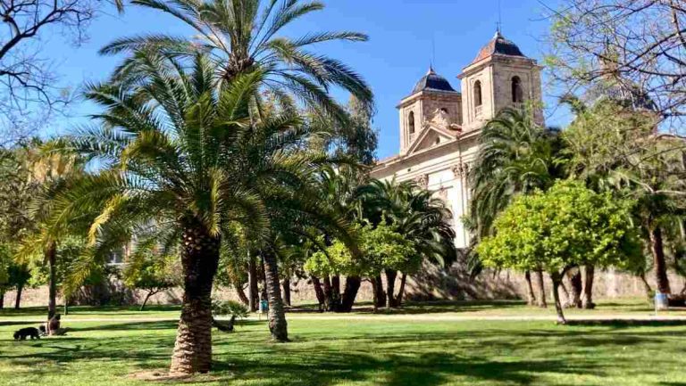 Valencia News: 6 April | Teachers on the Brink, Beaches in Crisis & a Lost Manuscript Recovered