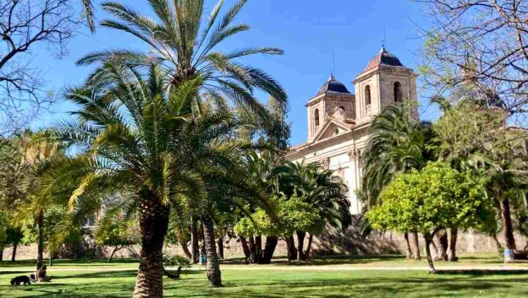 Valencia News: Immigration Debate, Rent Rises & Record Birds at the Albufera