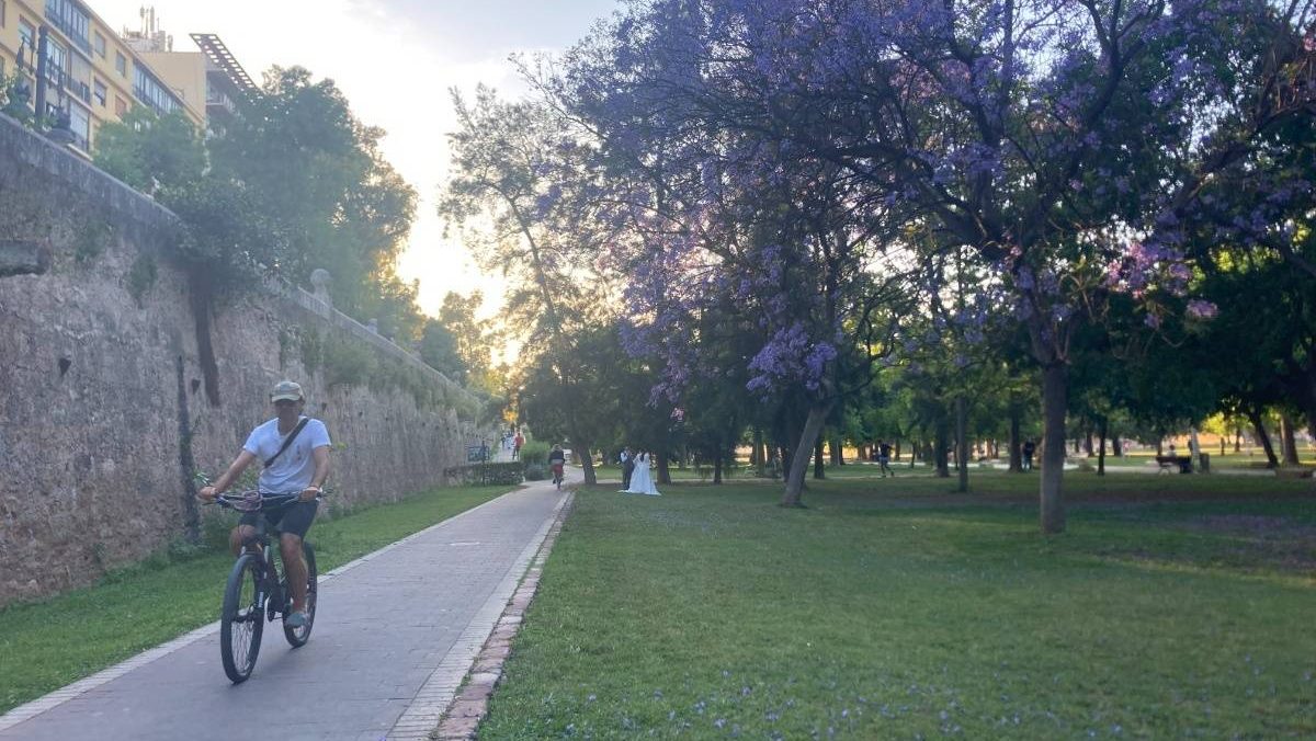 A cyclist using the cycle path in the Turia Park in Valencia