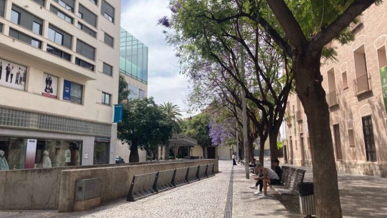 A row of jacaranda trees and park benches line the plaza by the MuVim illustration museum in Valencia.