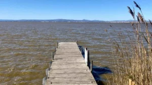 A woodier plank pier extends into the muddy waters of the Albufera lagoon