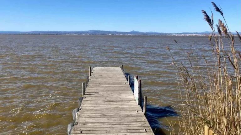 A woodier plank pier extends into the muddy waters of the Albufera lagoon