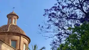 View of the cupola on the Bellas Artes museum in Valencia framed by purple jacaranda blossoms