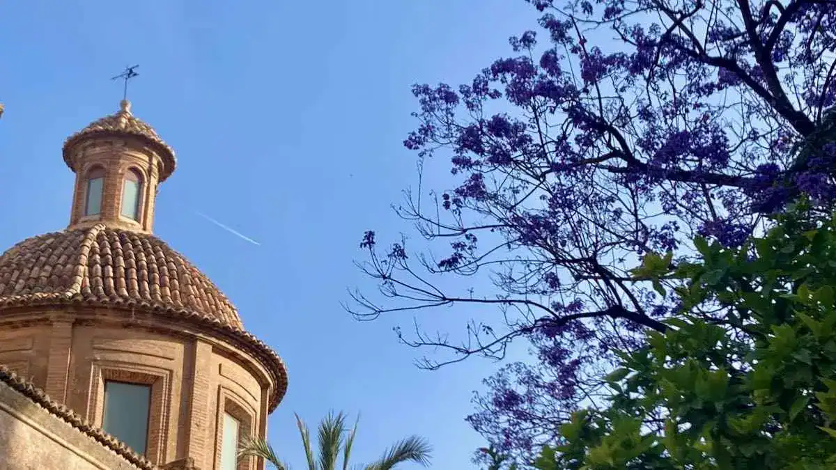 View of the cupola on the Bellas Artes museum in Valencia framed by purple jacaranda blossoms