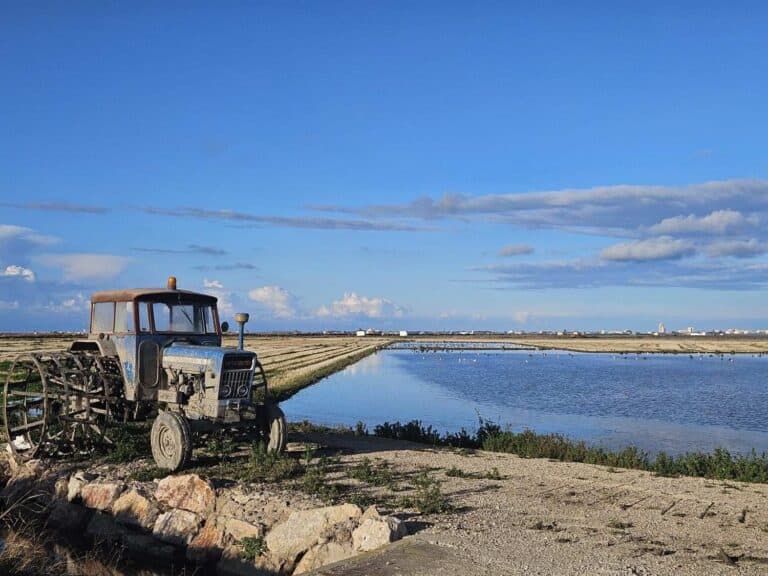 The Lagoon That Fed Valencia Is Running Out of Breath
